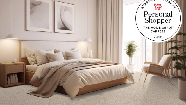 Discover the Best Carpets: Home Decorators Collection Review