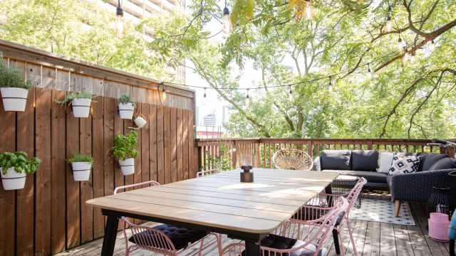 Transform Your Kitchen Space: Innovative Ways to Display Plants