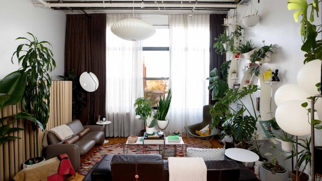 Transform Your Space: The Rise of Affordable Home Decor Trends