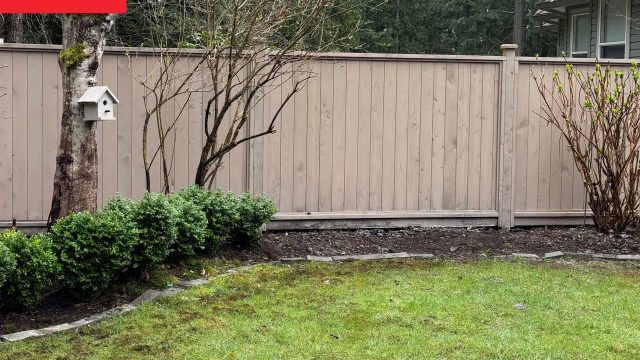 Transforming Neglected Spaces: Creating Your Dream Garden