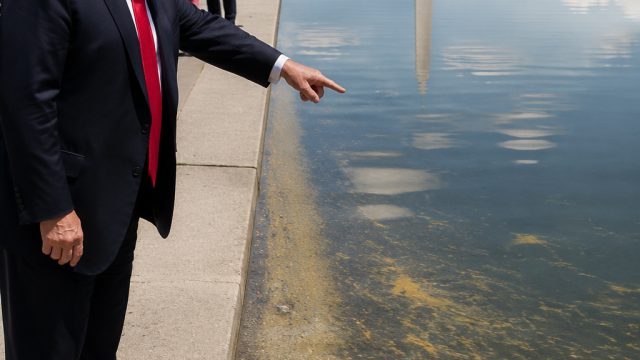 Trump Claims Vandalism at Reflecting Pool: A Closer Look at the Evidence | joker123 agenasia88, rtp 